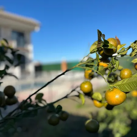 Villa Antalya 5 Odali Oezel Havuzlu *